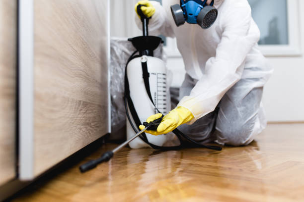 Best Cockroach Control Services  in Durant, IA