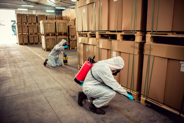 Best Ant Control Services  in Durant, IA