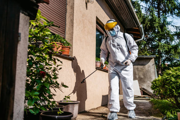 Best Affordable Pest Control Services  in Durant, IA