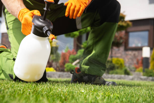 Best Best Pest Control Companies  in Durant, IA