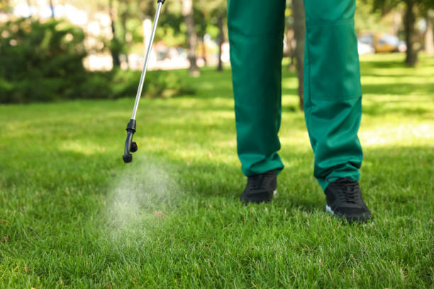 Best Mosquito Control Services  in Durant, IA