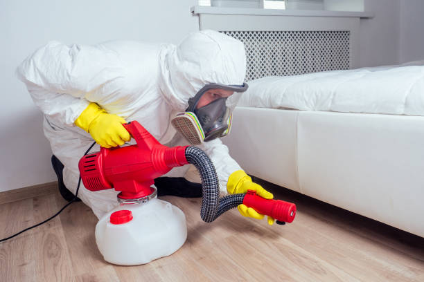 Best Local Pest Control Services  in Durant, IA