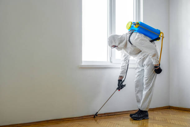 Best Pest Control Treatment  in Durant, IA