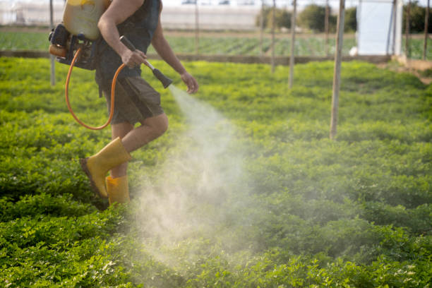 Best Pest Removal Services  in Durant, IA