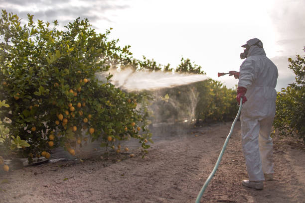 Best Pest Prevention Services  in Durant, IA