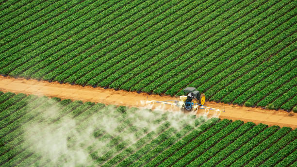 Best Pest Control for Homes  in Durant, IA